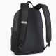 2. Pleack Puma Phase 091164-01