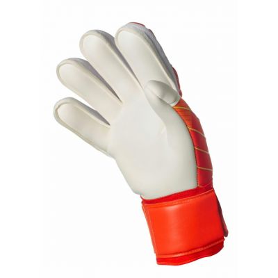 2. Rękawice bramkarskie Select 34 Protection v24 T26-18453
