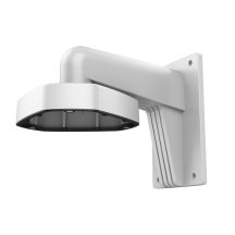Hikvision DS-1273ZJ-DM25 akcesoria do kamer monitoringowych Oprawa