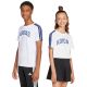 Koszulka dla dzieci adidas Codes Collegiate Graphic biała JI6674
