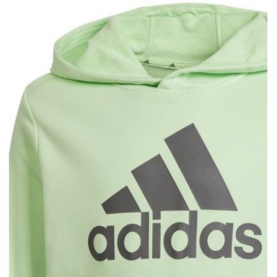 3. Bluza adidas Big Logo Hoodie Jr IS2591