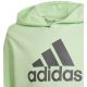 3. Bluza adidas Big Logo Hoodie Jr IS2591