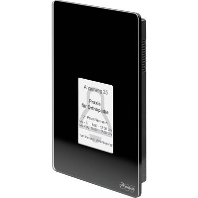 13. Terminal kontroli dostępu Auerswald TFS-Dialog 400