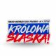 5. Magnes akrylowy Polonia Bytom Herb