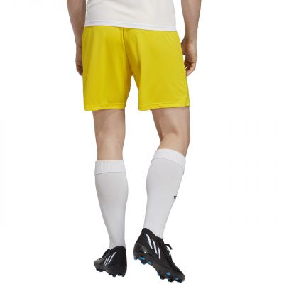 2. Spodenki adidas Entrada 22 M IC7404