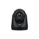 AVer DL30 kamera internetowa 2 MP 1920 x 1080 px USB Czarny