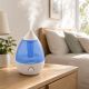11. Nawilżacz powietrza Esperanza COOL VAPOR EHA005 (25W; kolor niebieski)