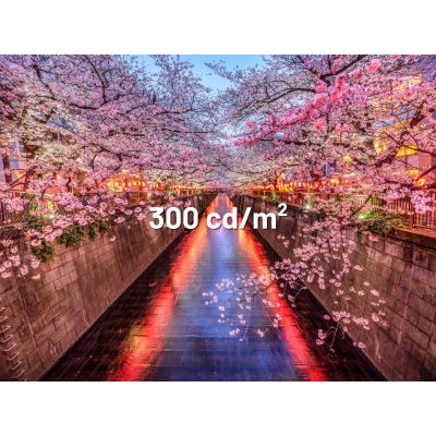 8. Monitor JAPANNEXT 60,5cm JN-I238FHD120F-HSP-YE 16:9 HDMI żółty FHD
