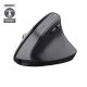 9. Mysz Trust BAYO+ ERGONOMIC WIRELESS Black