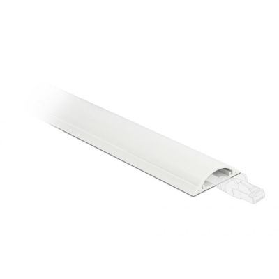 DeLOCK Korytko kablowe 30 x 8 mm - długość 1 m białe