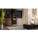 3. Witryna CORTINA 53x40x182 czarny