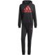 9. Dres adidas Big Logo Terry Track Suit M IP5553
