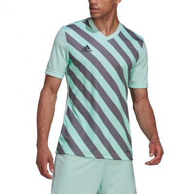4. Koszulka adidas Entrada 22 Graphic Jersey M HF0119