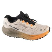 Salomon Aero Blaze 4 Grvl GTX W L45404000 Szare 37 1/3