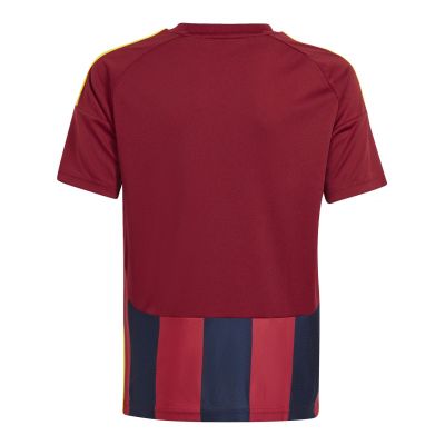 2. Koszulka adidas Striped 24 Jr IW2139