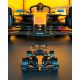16. LEGO 42228 Technic - Bolid McLaren MCL39 F1