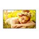 Monitor LG 55" 55UL5Q-E Digital Signage 4K UHD (24/7)
