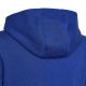 3. Bluza adidas Big Logo Essentials Hoody Jr HN1912