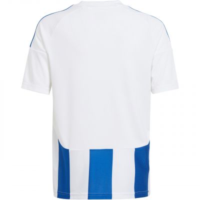 2. Koszulka adidas Striped 24 Jr IW2134