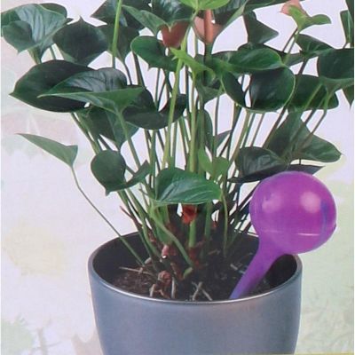 4. AUTOMATYCZNA KONEWKA DOZOWNIK KULA DO NAWADNIANIA 250ML FIOLET