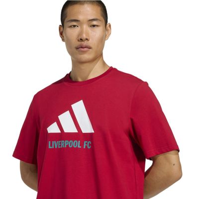 4. Koszulka adidas Liverpool FC Seasonal DNA Graphic Tee 2 JY3466
