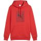 Bluza Puma Ess Logo Lab Hoodie FL M 684669 15