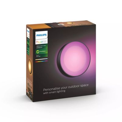 3. Zewnętrzna latarnia ścienna Philips Hue WCA Daylo 15 W 2000-6500 Hue Biały Kolor Atmosfera