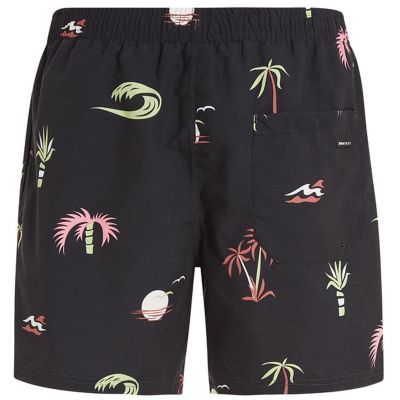 2. Spodenki męskie Protest PRTVUNG beachshort