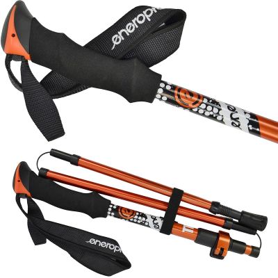 9. KIJE NORDIC WALKING TRIP W POKROWCU ENERO PRO