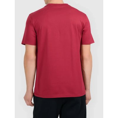 2. T-shirt z nadrukiem męski 4F 4FWAW26TTSHM3578-61S