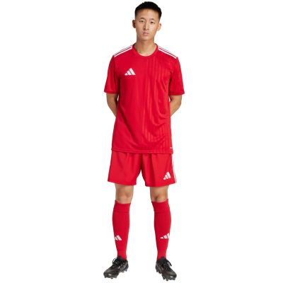 14. Spodenki adidas Tastigo 25 M JN7157