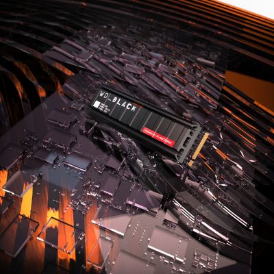 21. SSD WD Black SN8100 w/o HS 2TB WDS200T1X0M