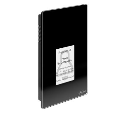 Terminal kontroli dostępu Auerswald TFS-Dialog 400