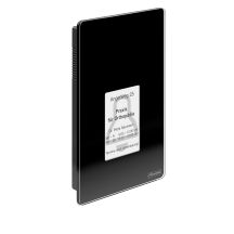 Terminal kontroli dostępu Auerswald TFS-Dialog 400