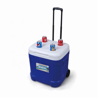 4. Lodówka sportowa na kołach 55 litrów 100827