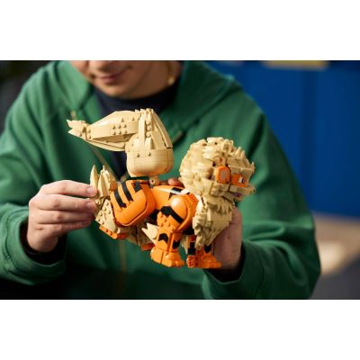 13. LEGO Pokémon 72160 - Arcanine