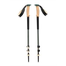 Kije trekkingowe Black Diamond TRAIL CORK TREKKING POLES - laurel green
