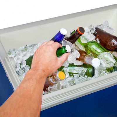 11. LODÓWKA TURYSTYCZNA ELEKTRYCZNA 24L 12/230V REDCLIFFS