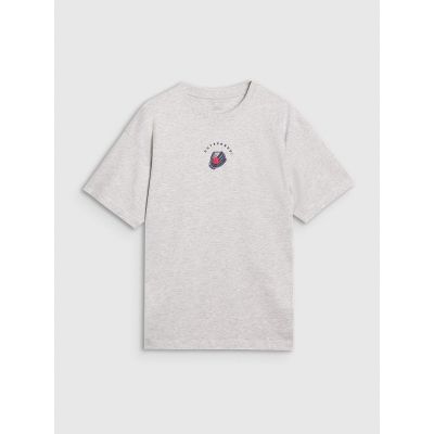 Koszulka 4F M 4FRSS25TTSHM2981-27M