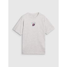 Koszulka 4F M 4FRSS25TTSHM2981-27M