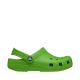 Chodaki dla dzieci Crocs Kids Classic Clog zielone 206991 30T