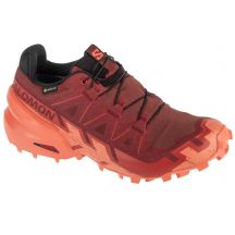 Buty do biegania Salomon Speedcross 6 GTX W 475843