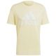 12. Koszulka adidas Essentials Single Jersey Big Logo Tee M IX0135