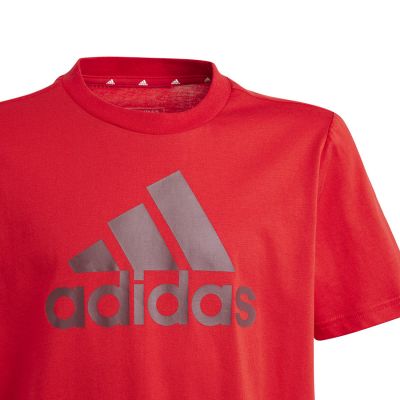 7. Koszulka adidas Big Logo Tee Jr IJ6262