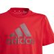 7. Koszulka adidas Big Logo Tee Jr IJ6262