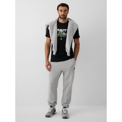 4. T-shirt regular z nadrukiem męski 4F 4FRAW26TTSHM4663-20S
