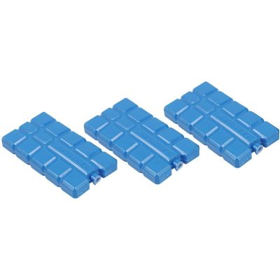 4. WKŁAD DO LODÓWKI 3X200GR