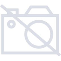 G&G Etiketten 12 StĂĽck fĂĽr DYMO 99012/ S0722400 36 x 89 mm