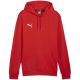 3. Bluza Puma Team Goal Casuals Hoody M 658618 01