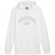 Bluza Puma Ess+ Logo LAB Gradient Hoodie FL M 681775 02